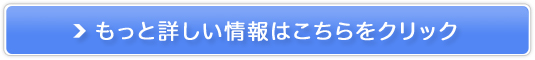 HASXgb`iV[g̔TCg